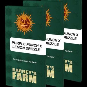 _purple-punch-x-lemon-drizzle-pack-opt.jpg