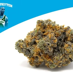 gary-payton-weed-strain.webp